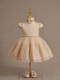 Thumbelina Gold